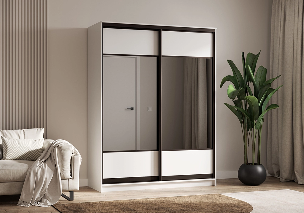 Шкаф-купе Контур 2-1
